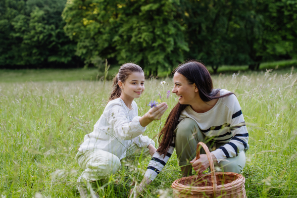 Daughter picking flowers, giving them to mother. Concept of family ecological hobby in nature and Mother's Day.