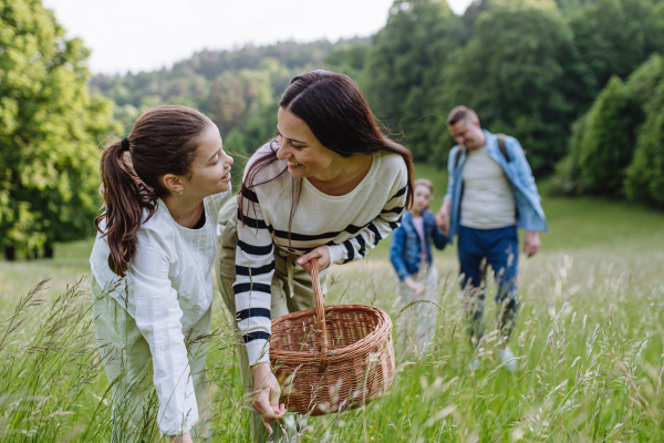 Family on interesting walk in forest, going through meadow. Successful mushroom, herbs medical plants or flowers picking, foraging. Concept of family ecological hobby in nature.