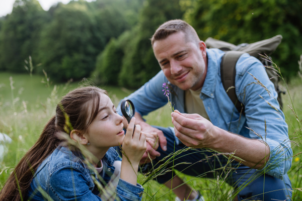 Father with daughter picking wildflowers in meadow, spending time together in nature. Concept of fathers's Day and fatherly love.