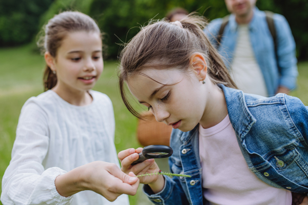 Sisters looking at ladybug, insect on meadow, using magnifying glass. Young family on walk during warm spring day. Concept of family bonding in nature.