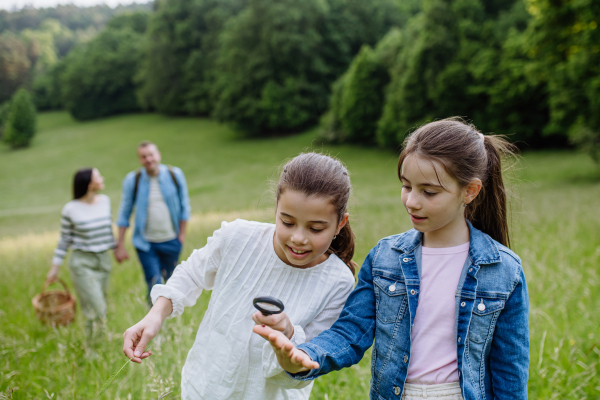 Sisters looking at ladybug, insect on meadow, using magnifying glass. Young family on walk during warm spring day. Concept of family bonding in nature.