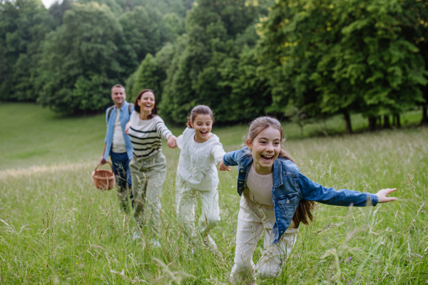 Family on interesting walk in forest, going through meadow. Successful mushroom, herbs medical plants or flowers picking, foraging. Concept of family ecological hobby in nature.