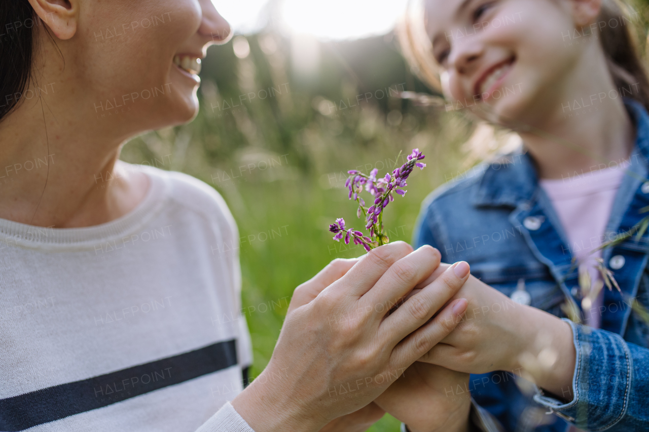 Daughter giving beautiful mother purple flower as gift. Concept of Mother's Day and maternal love.