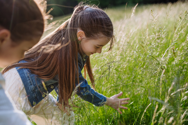 Sisters looking at ladybug, insect in grass, using magnifying glass. Young family on walk during warm spring day. Concept of family bonding in nature.