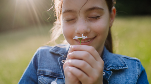 Portrait of beautiful young girl smelling daisy flower, standing on meadow, enjoying warm spring day. Banner with copy space.