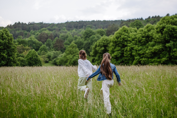 Rear view of two sisters walking at meadow through tall grass, exploring. Sisterly love and siblings relationship concept.