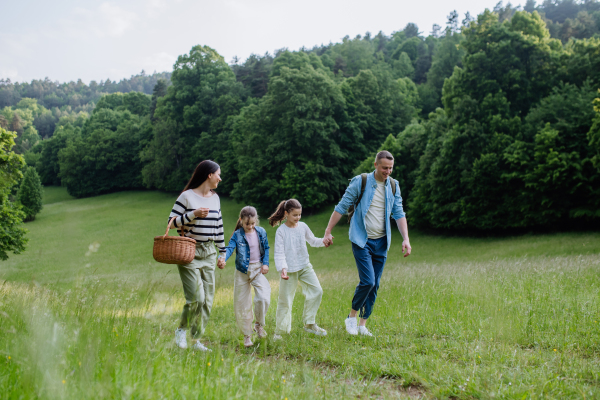 Family on interesting walk in forest, going through meadow. Successful mushroom, herbs medical plants or flowers picking, foraging. Concept of family ecological hobby in nature.