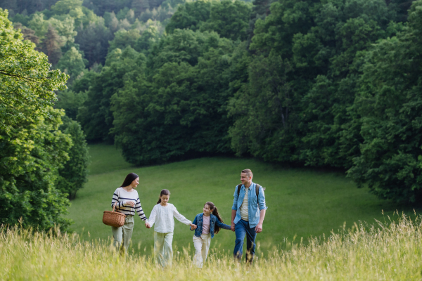 Family on interesting walk in forest, going through meadow. Successful mushroom, herbs medical plants or flowers picking, foraging. Concept of family ecological hobby in nature.