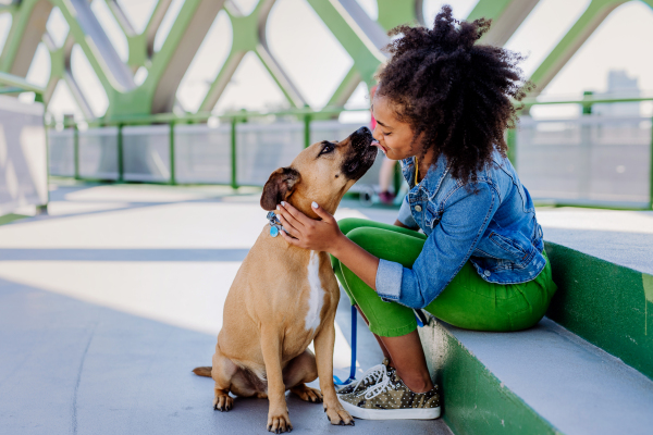 Multiracial girl sitting and resting with her dog outside in the bridge, training him, spending leisure time together. Concept of relationship between a dog and teenager, everyday life with pet.