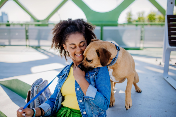 Multiracial girl sitting and resting with her dog outside in the bridge, training him, spending leisure time together. Concept of relationship between a dog and teenager, everyday life with pet.