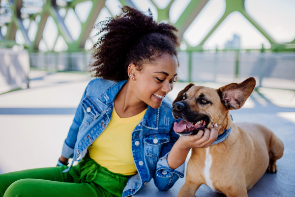 Multiracial girl sitting and resting with her dog outside in the bridge, training him, spending leisure time together. Concept of relationship between a dog and teenager, everyday life with pet.