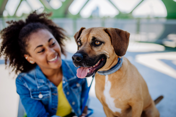 Multiracial girl sitting and resting with her dog outside in the bridge, training him, spending leisure time together. Concept of relationship between a dog and teenager, everyday life with pet.