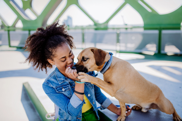 Multiracial girl sitting and resting with her dog outside in the bridge, training him, spending leisure time together. Concept of relationship between a dog and teenager, everyday life with pet.