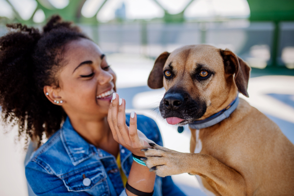 Multiracial girl sitting and resting with her dog outside in the bridge, training him, spending leisure time together. Concept of relationship between a dog and teenager, everyday life with pet.