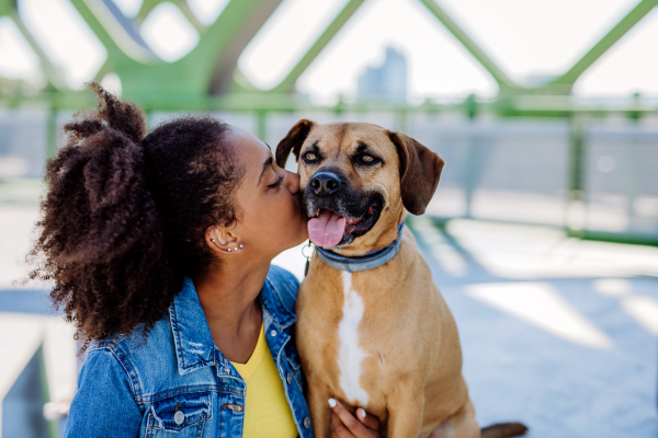 Multiracial girl sitting and resting with her dog outside in the bridge, training him, spending leisure time together. Concept of relationship between a dog and teenager, everyday life with pet.