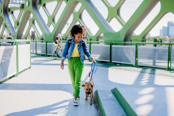 Multiracial girl walking with her dog outside in the bridge, training him, spending leisure time together. Concept of relationship between a dog and teenager, everyday life with pet.