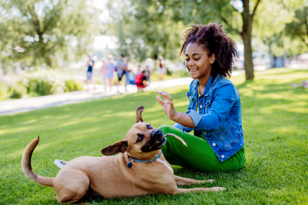 Multiracial girl sitting and resting with her dog outside in the park, training him, spending leisure time together. Concept of relationship between a dog and teenager, everyday life with pet.