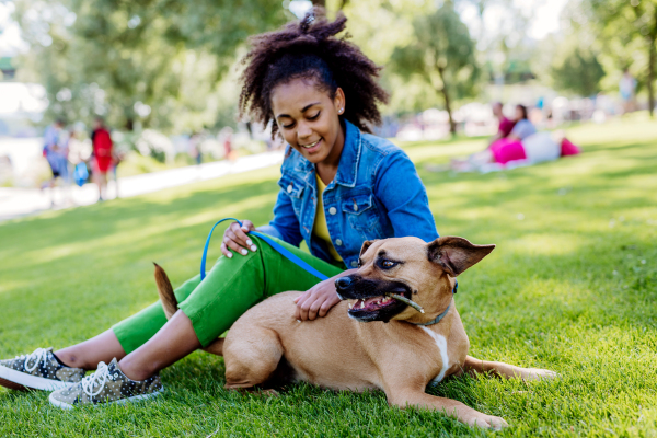 Multiracial girl sitting and resting with her dog outside in the park, training him, spending leisure time together. Concept of relationship between a dog and teenager, everyday life with pet.