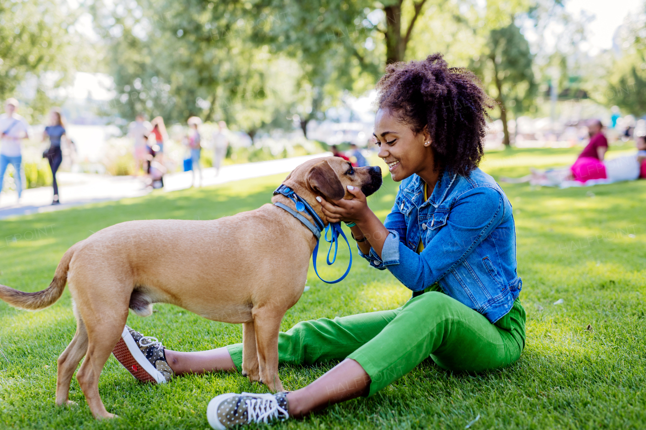 Multiracial girl sitting and resting with her dog outside in the park, training him, spending leisure time together. Concept of relationship between a dog and teenager, everyday life with pet.