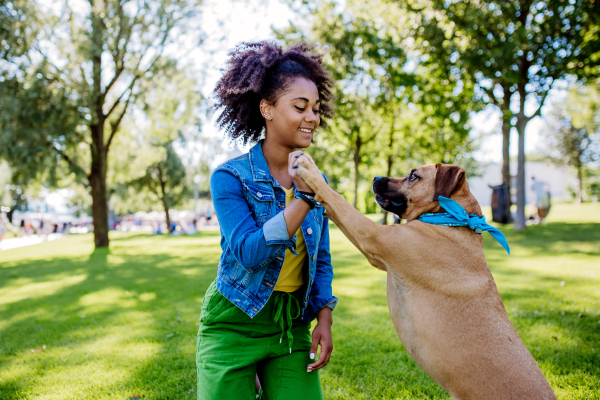 Multiracial girl training her dog outdoor in city park. Concept of relationship between a dog and teenager, everyday life with pet.