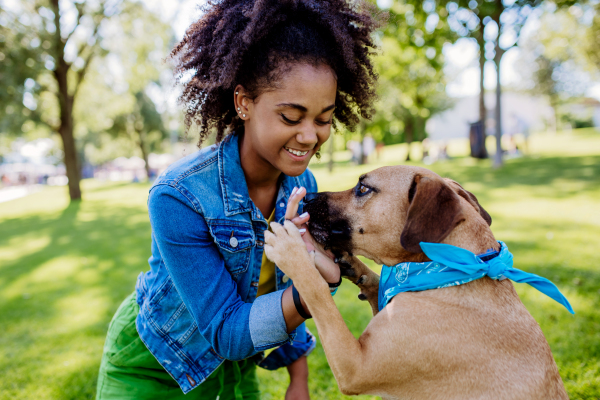 Multiracial girl sitting and resting with her dog outside in the park, training him, spending leisure time together. Concept of relationship between a dog and teenager, everyday life with pet.