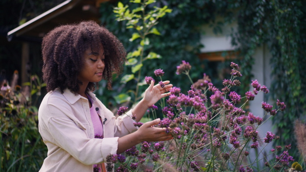 A peaceful young woman outdoor in the garden playing with the flowers. Beautiful african american woman connecting with nature.