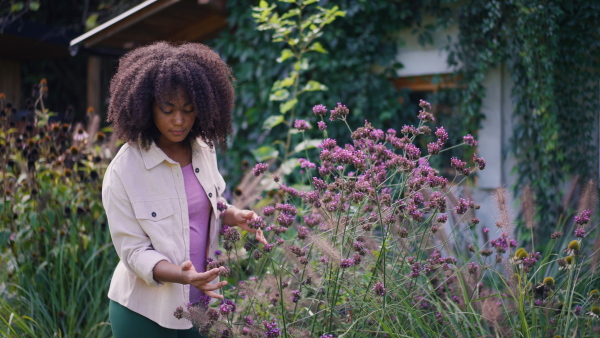 A peaceful young woman outdoor in the garden playing with the flowers. Beautiful african american woman connecting with nature.