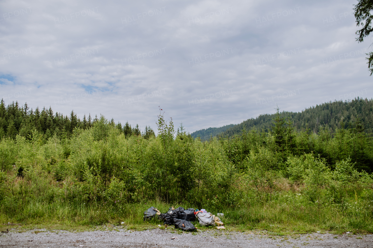 Illegal dumping of waste in a forest, trashes in black plastic bags.