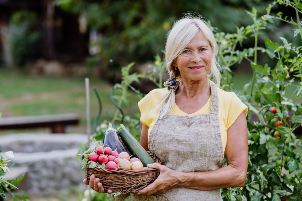 Portrait of a senior farmer holding basket with autumn harvest from her garden.