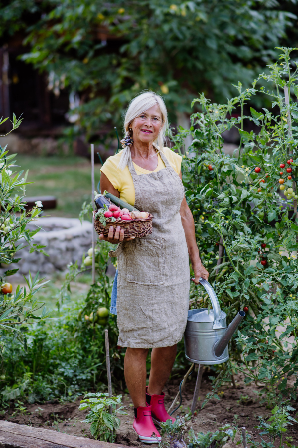 Senior farmer holding basket with autumn harvest from the garden.