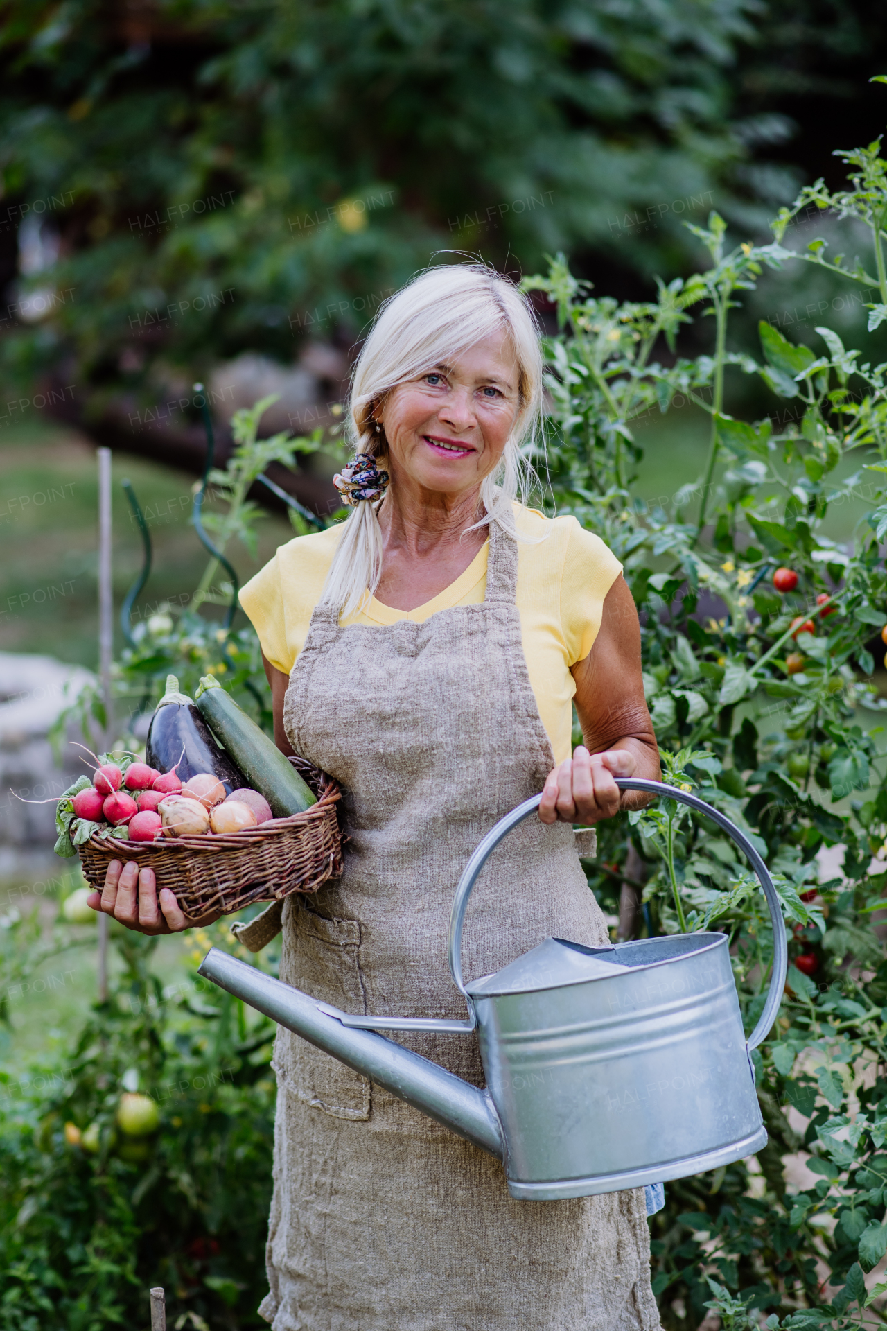 a Happy senior farmer holding basket with autumn harvest from her garden.