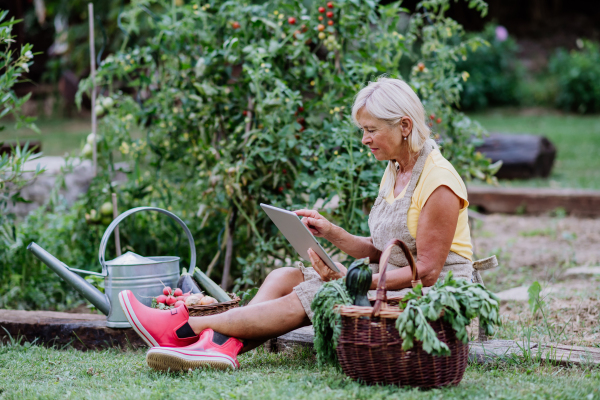 A senior woman using laptop and handling orders of her homegrown organic flowers and vegetables in garden