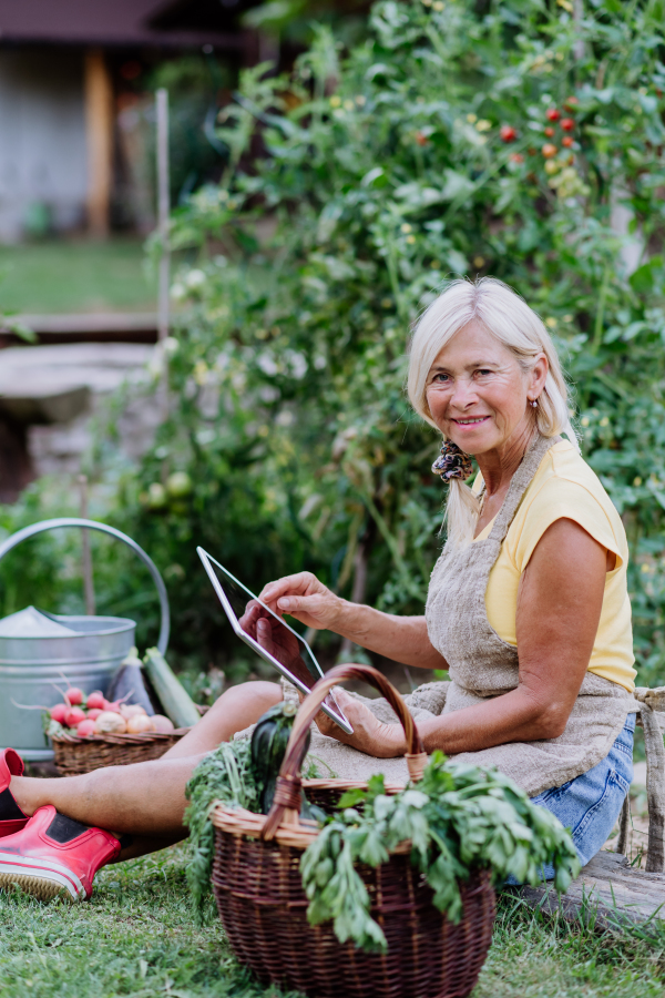 Senior woman using digital tablet and handling orders of her homegrown organic vegetables in garden, small business concept.