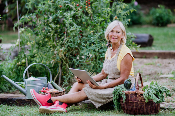 A senior woman using laptop and handling orders of her homegrown organic vegetables in garden