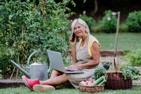 A senior woman makes a phone call while using laptop and handling orders of her homegrown organic vegetables in garden