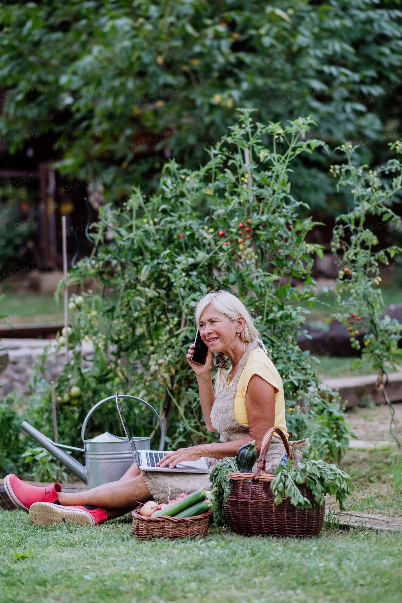 A senior woman makes a phone call while using laptop and handling orders of her homegrown organic vegetables in garden