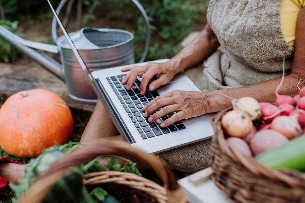 A woman farmer using laptop and handling orders of her homegrown organic vegetables in garden, small business concept.