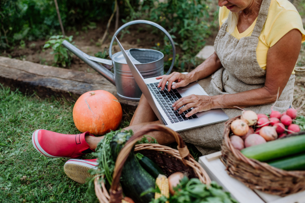 Senior woman using digital tablet and handling orders of her homegrown organic vegetables in garden, small business concept.