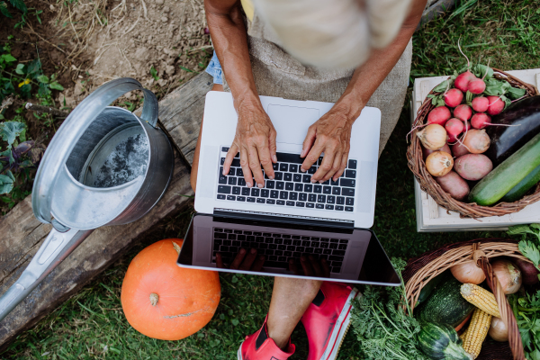 Top view of a senior woman using laptop and handling orders of her homegrown organic vegetables in garden, small business concept.