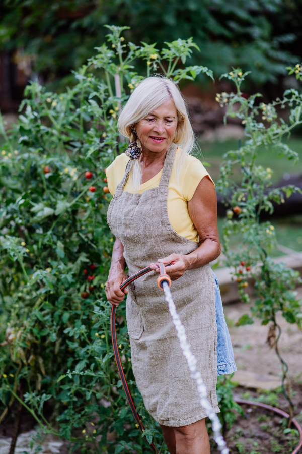 Senior woman in garden at home watering the vegetables.