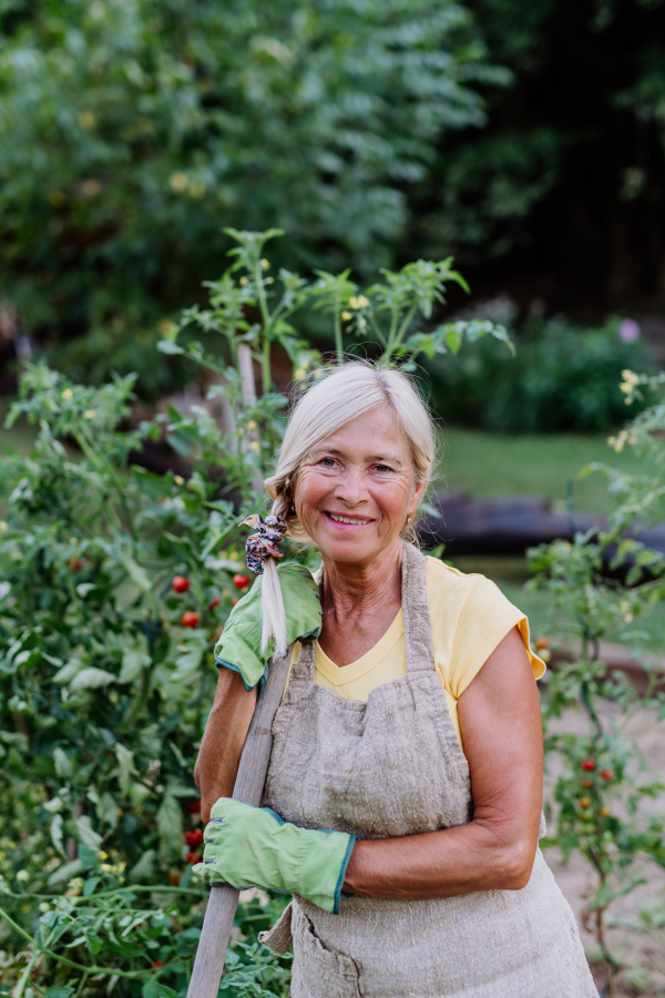 Senior woman having break during digging her vegetable garden.