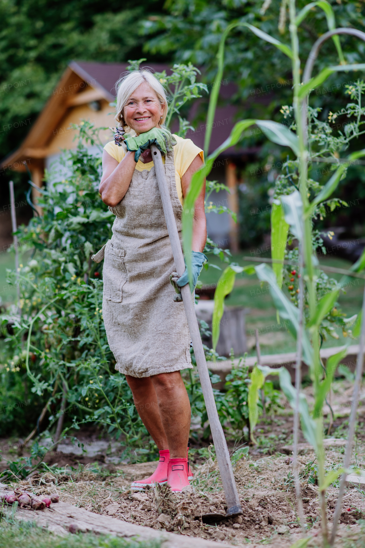 Senior woman having break during digging her vegetable garden.