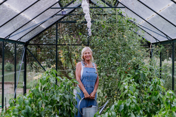 Senior woman in garden at home watering vegetables in a greenhouse.