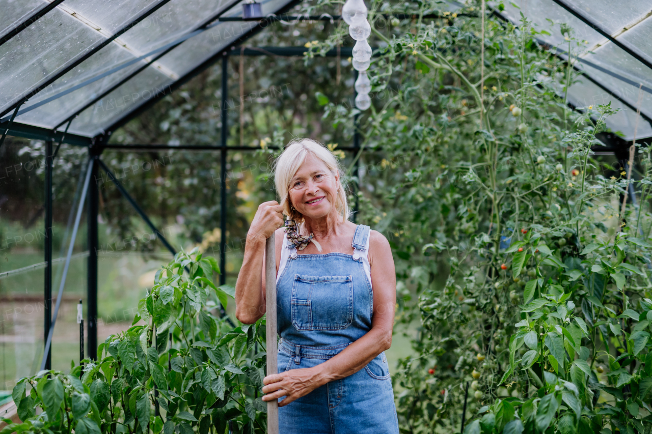 Senior woman having break during digging her vegetable in greenhouse.