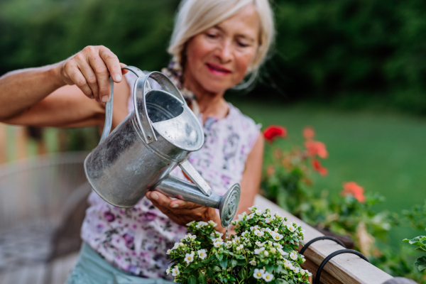 Senior woman watering flowers on terrace and enjoying view at forest.