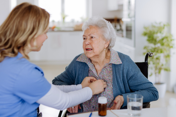 Young nurse taking care about senior woman client.