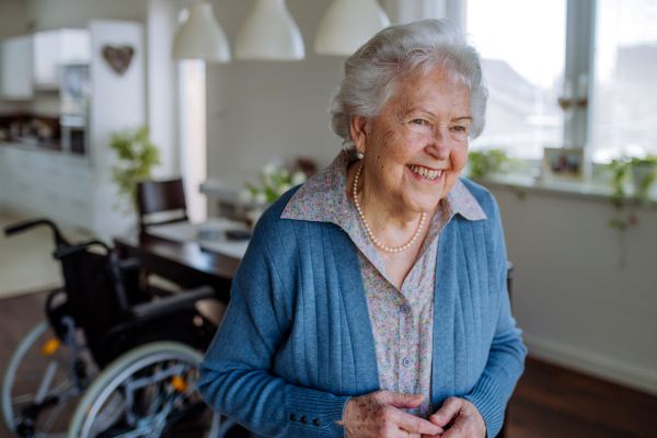 Portrait of smiling senior woman at home.