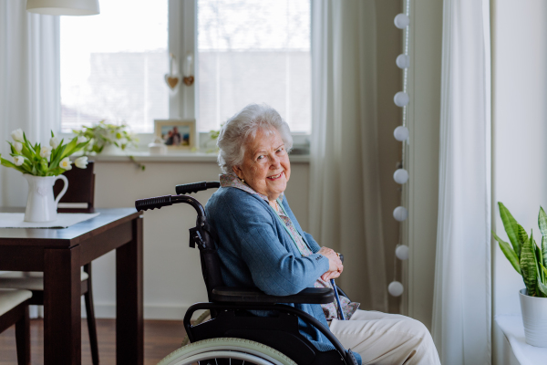 Portrait of senior woman on the wheelchair.