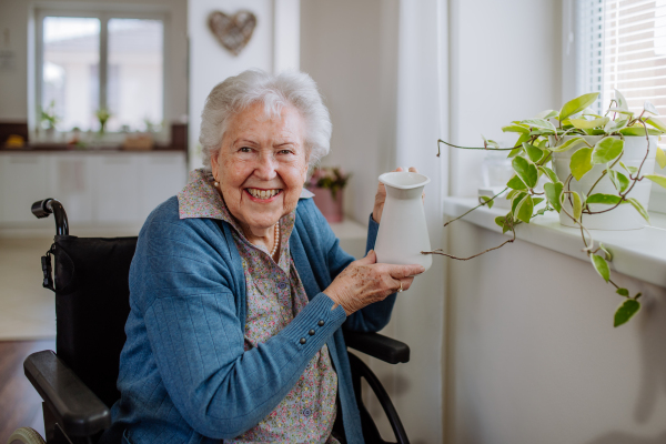 Senior woman watering flowers in the apartment.