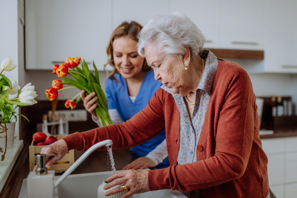 Senior woman and nurse giving water to tulip bouquet.